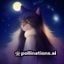 夜猫子用户头像，习惯深夜追剧的影视爱好者